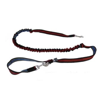 Bungee Leine 2K kleine Hunde Welpen Tricolor